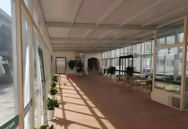 渡秦